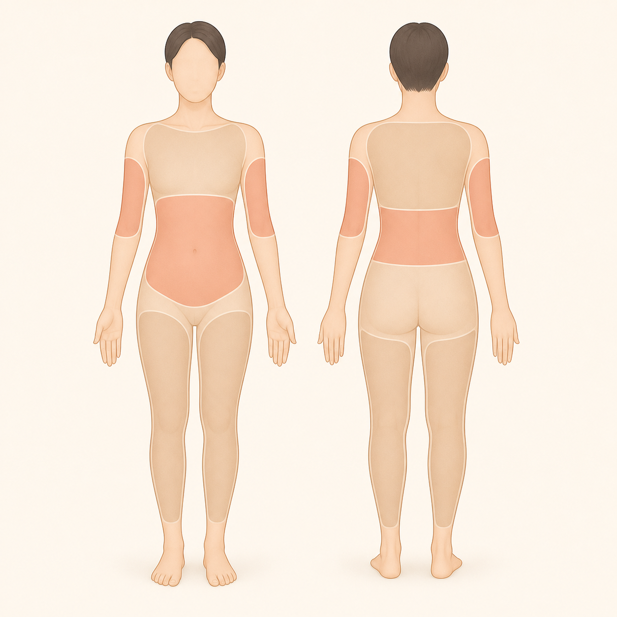 등과 복부, 팔, 다리를 전신 관리 범위로 표시한 일러스트