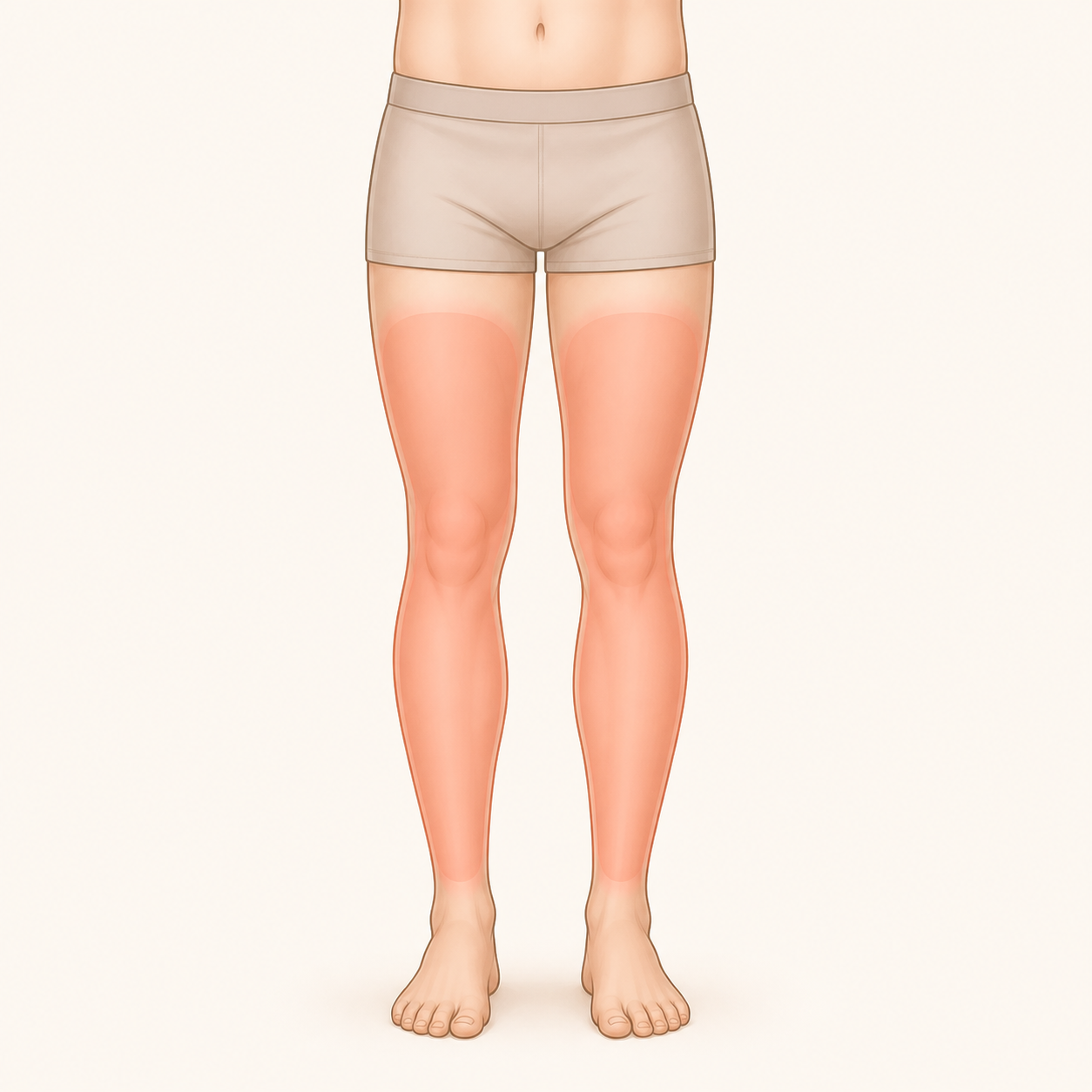 허벅지와 종아리, 발을 하체 관리 범위로 표시한 일러스트