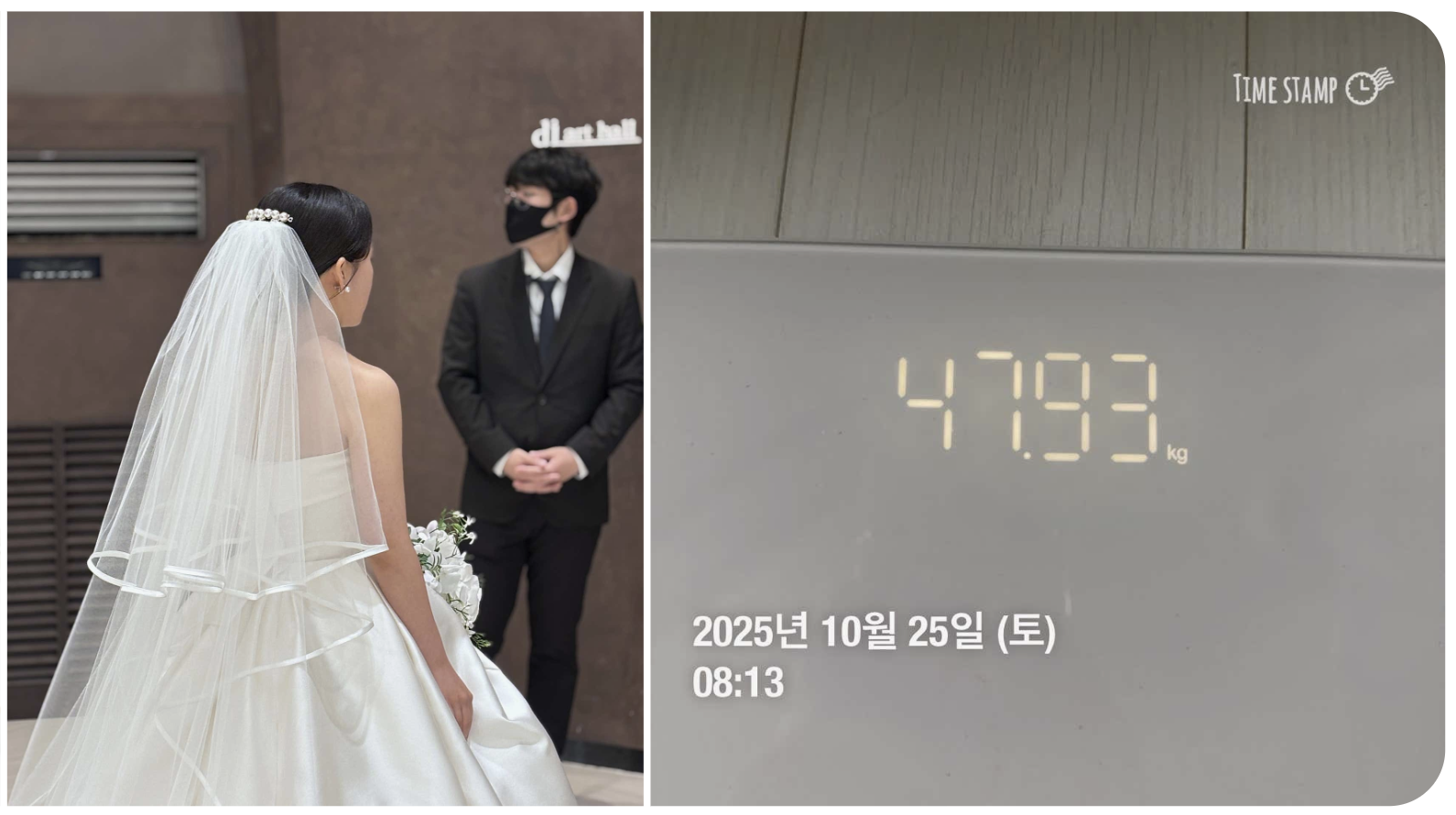 베일을 쓴 고객님의 뒷모습을 담은 결혼식 사진